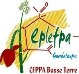 Logo cfppa basse-terre